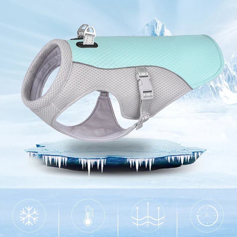 Gilet Rafraîchissant pour Chien - Balade.le.chien.com