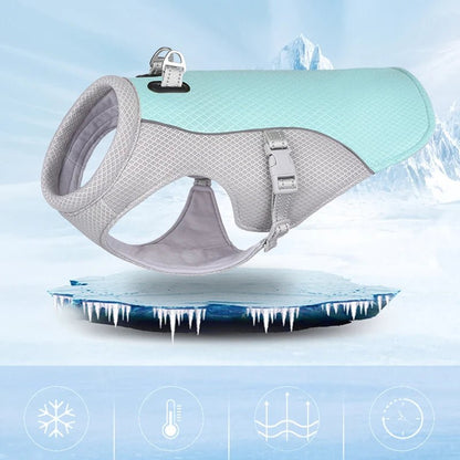 Gilet Rafraîchissant pour Chien - Balade.le.chien.com