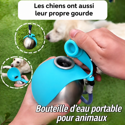 Gourde pour Chien | Portable Étanche