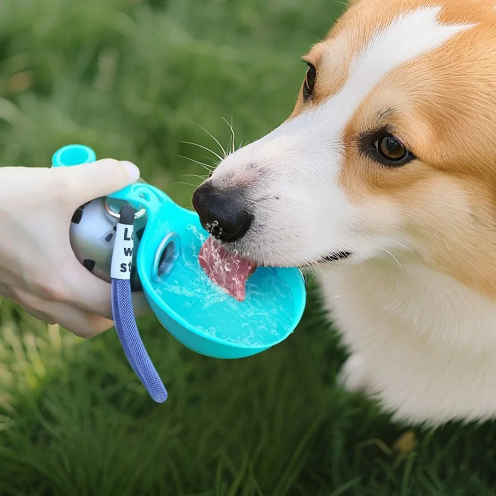 Gourde pour Chien | Portable Étanche