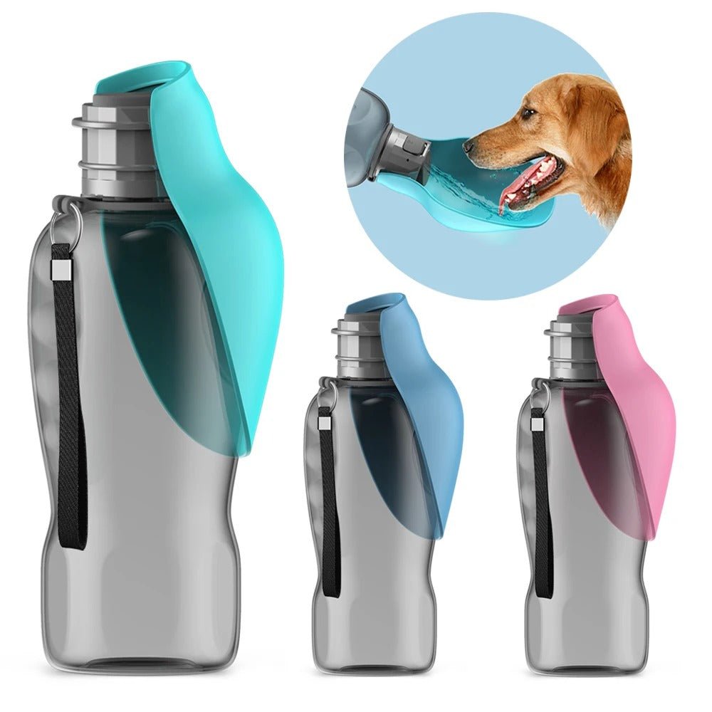 Gourde Portable pour chiens 800 ml | Nomade - Balade.le.chien.com