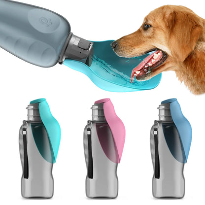 gourde pour chiens - Rose-vert-bleu