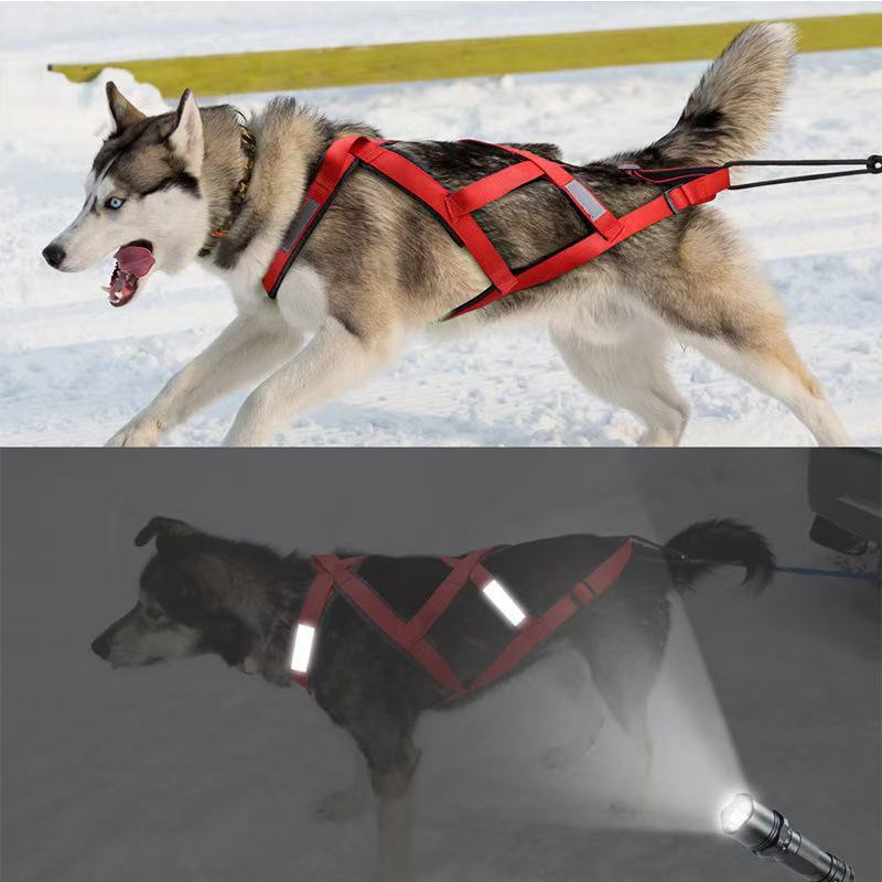 harnais chien anti traction|Confort et Contrôle pour Chiens qui Tirent - Balade.le.chien.com