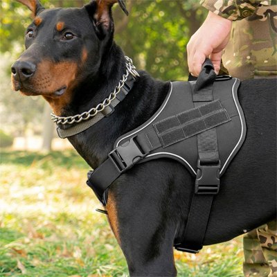 Harnais chien | Confort Ajustable - Balade.le.chien.com