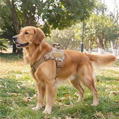 Harnais chien | Confort Ajustable - Balade.le.chien.com
