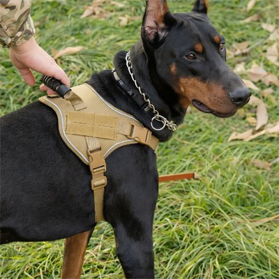 Harnais chien | Confort Ajustable - Balade.le.chien.com