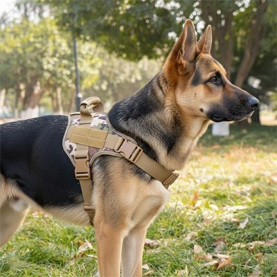 Harnais chien | Confort Ajustable - Balade.le.chien.com