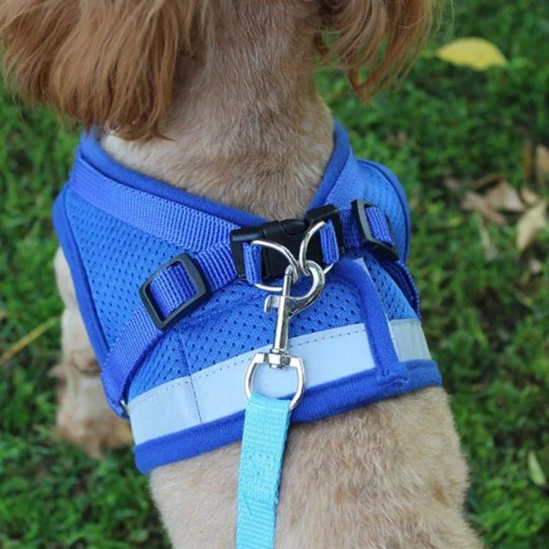 Harnais chien | Confort Sécurité - Balade.le.chien.com