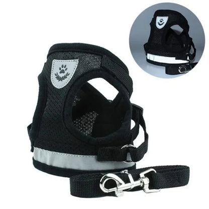 Harnais chien | Confort Sécurité - Balade.le.chien.com