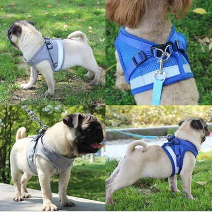 Harnais chien | Confort Sécurité - Balade.le.chien.com