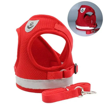 Harnais chien | Confort Sécurité - Balade.le.chien.com