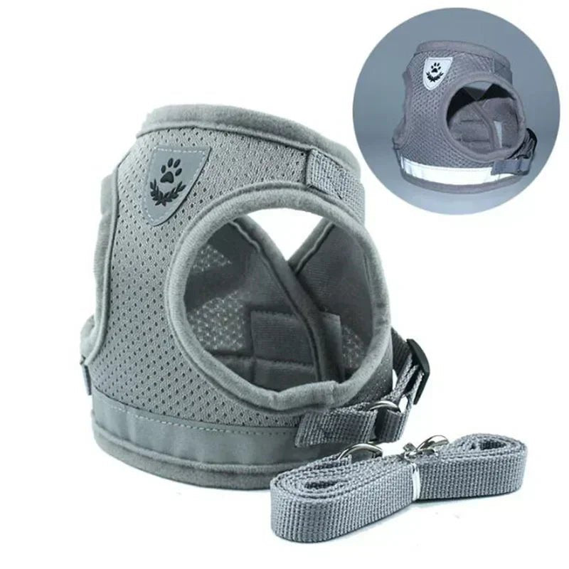Harnais chien | Confort Sécurité - Balade.le.chien.com