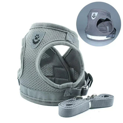 Harnais chien | Confort Sécurité - Balade.le.chien.com