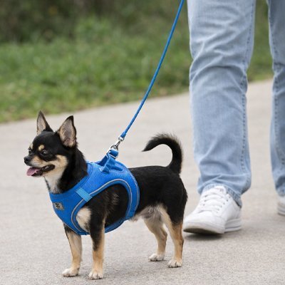 Harnais chiot | Confort Sécurisé - Balade.le.chien.com