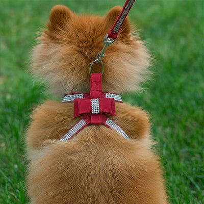 Harnais chiot | Sécuri - Confort - Balade.le.chien.com