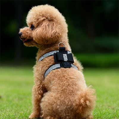 Harnais chiot | Sécuri - Confort - Balade.le.chien.com