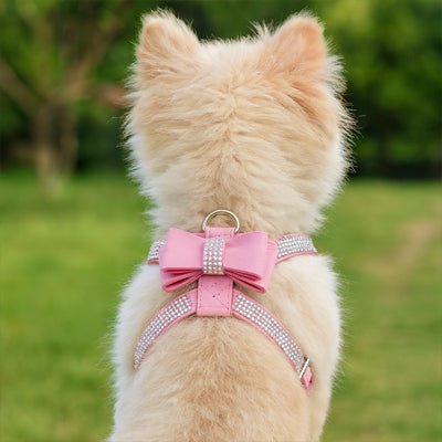 Harnais chiot | Sécuri - Confort - Balade.le.chien.com