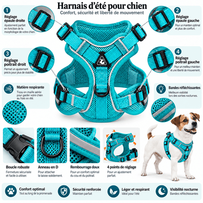 Harnais d'été pour chien - Balade.le.chien.com