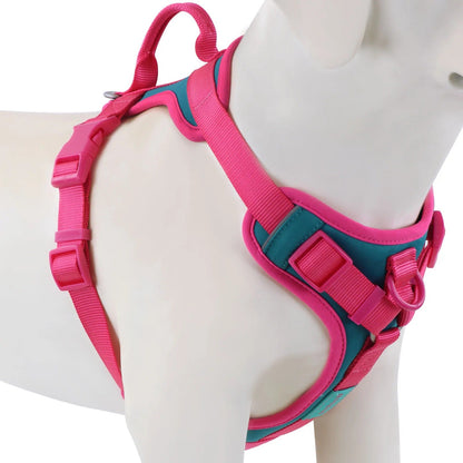Harnais de luxe pour chiens | Anti-traction - Balade.le.chien.com
