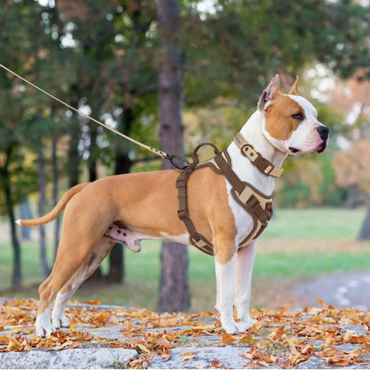 Harnais de luxe pour chiens | Anti-traction - Balade.le.chien.com