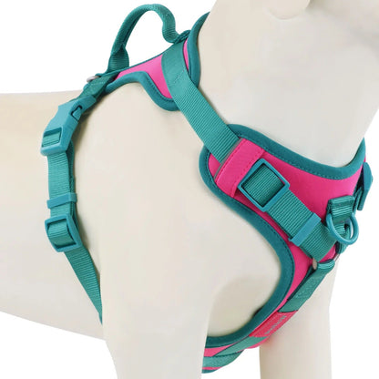 Harnais de luxe pour chiens | Anti-traction - Balade.le.chien.com