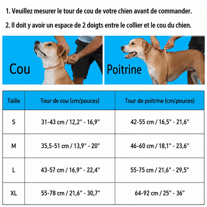 Harnais de luxe pour chiens | Anti-traction - Balade.le.chien.com