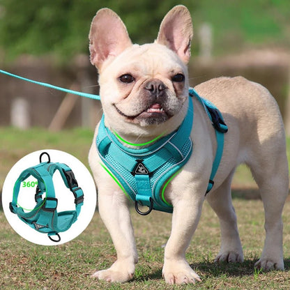 Harnais d'été ™ - pour chien - Balade.le.chien.com