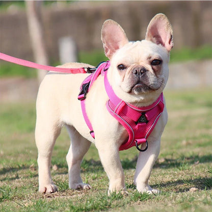 Harnais d'été ™ - pour chien - Balade.le.chien.com