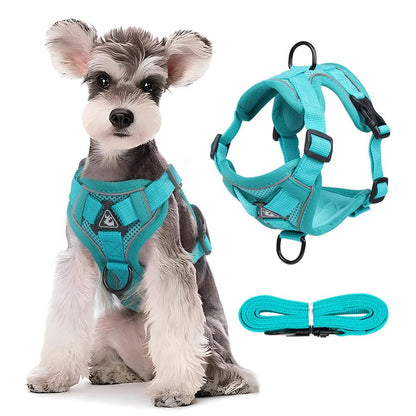 Harnais d'été ™ - pour chien - Balade.le.chien.com