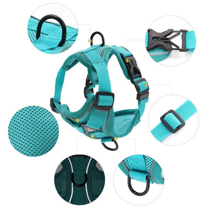 Harnais d'été ™ - pour chien - Balade.le.chien.com