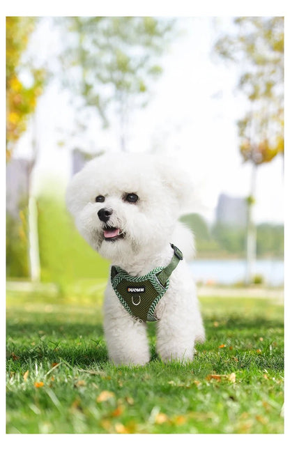 Harnais d'Été pour Chien : Confort et Fraîcheur - Balade.le.chien.com