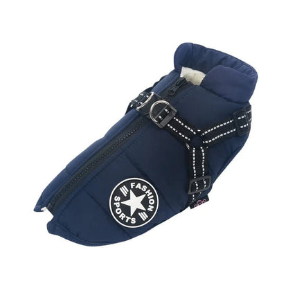 Harnais d'hiver pour chien : Le manteau multifonctionnel ultime - Balade.le.chien.com