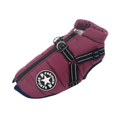 Harnais d'hiver pour chien : Le manteau multifonctionnel ultime - Balade.le.chien.com