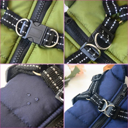 Harnais d'hiver pour chien : Le manteau multifonctionnel ultime - Balade.le.chien.com