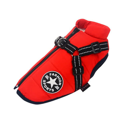 Harnais d'hiver pour chien : Le manteau multifonctionnel ultime - Balade.le.chien.com
