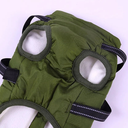 Harnais d'hiver pour chien : Le manteau multifonctionnel ultime - Balade.le.chien.com