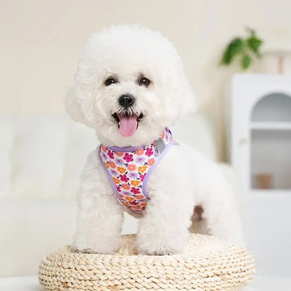 Harnais petit chien | UltraConfort - Balade.le.chien.com
