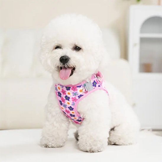 Harnais petit chien | UltraConfort - Balade.le.chien.com