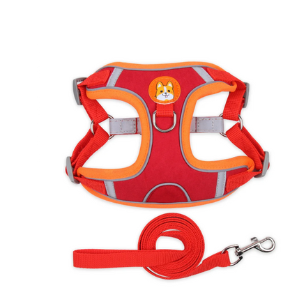 Harnais pour chien | Confort Secure