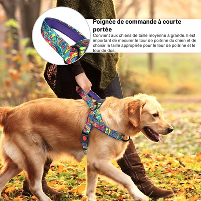 Harnais pour chien anti - traction | PerfectWalk - Balade.le.chien.com