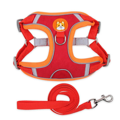 Harnais pour chien | Confort Secure - Balade.le.chien.com