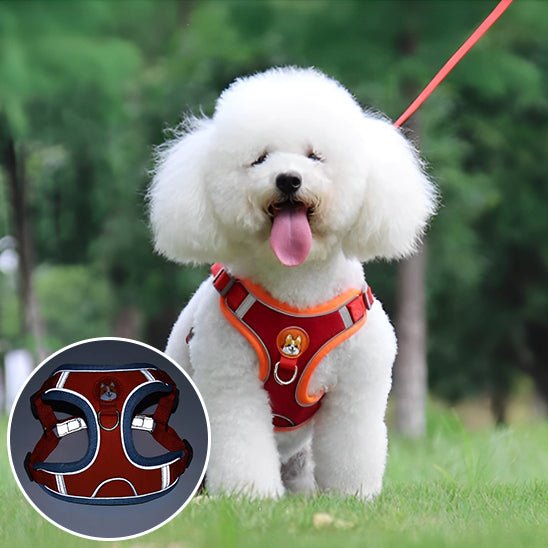 Harnais pour chien | Confort Secure - Balade.le.chien.com