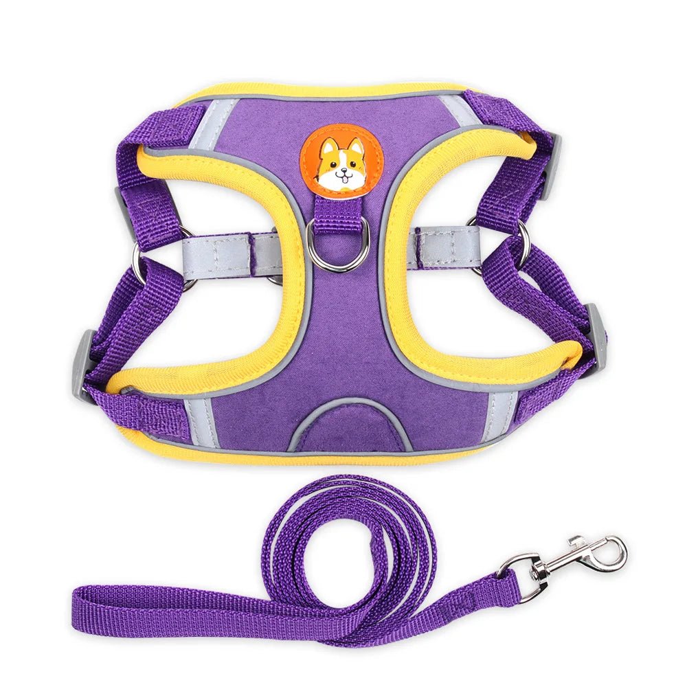 Harnais pour chien | Confort Secure - Balade.le.chien.com