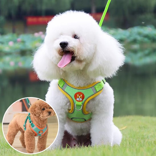Harnais pour chien | Confort Secure - Balade.le.chien.com