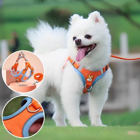 Harnais pour chien | Confort Secure - Balade.le.chien.com