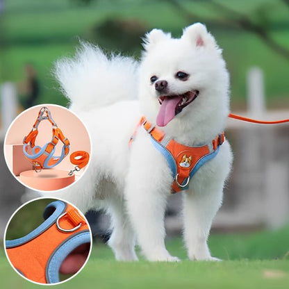 Harnais pour chien | Confort Secure - Balade.le.chien.com