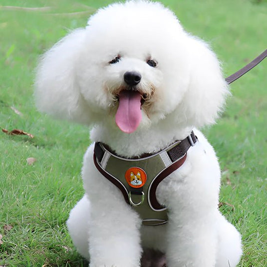Harnais pour chien | Confort Secure - Balade.le.chien.com