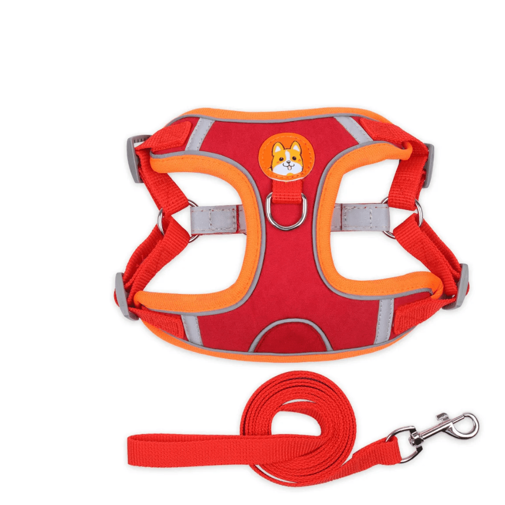 Harnais pour chien | Confort Secure - Balade.le.chien.com