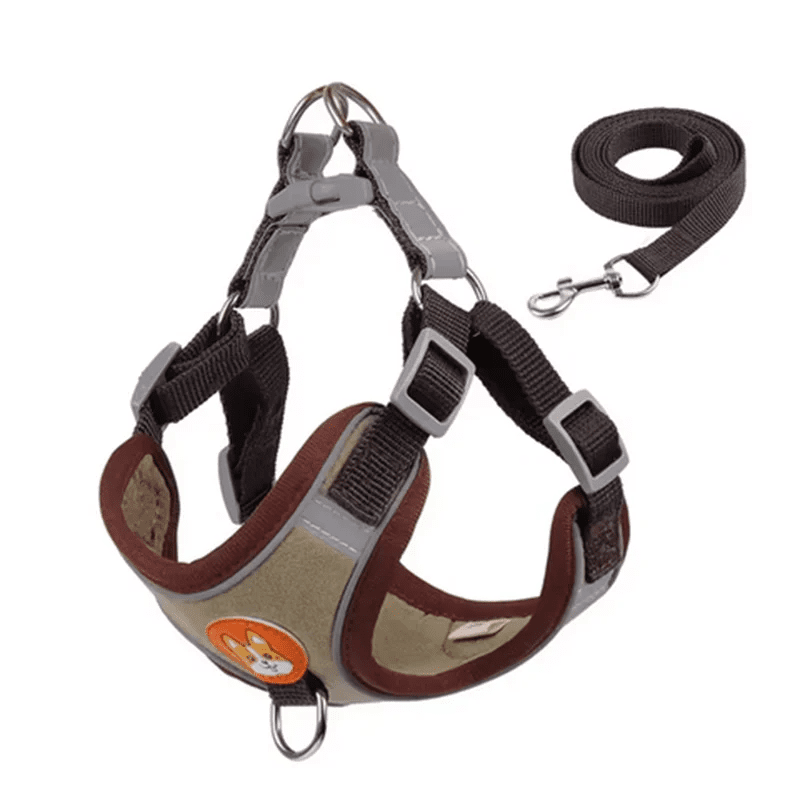 Harnais pour chien | Confort Secure - Balade.le.chien.com