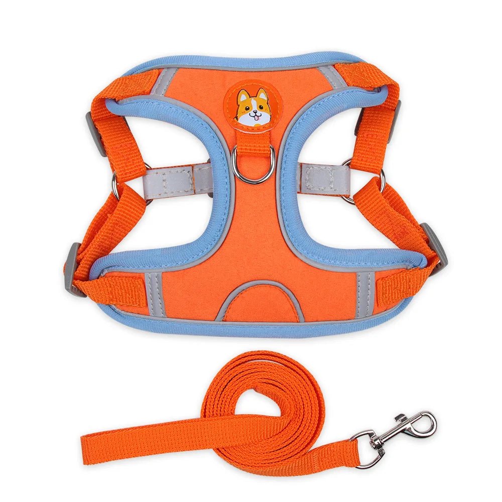 Harnais pour chien | Confort Secure - Balade.le.chien.com